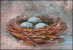 Bird's Nest (image for) Bird's Nest